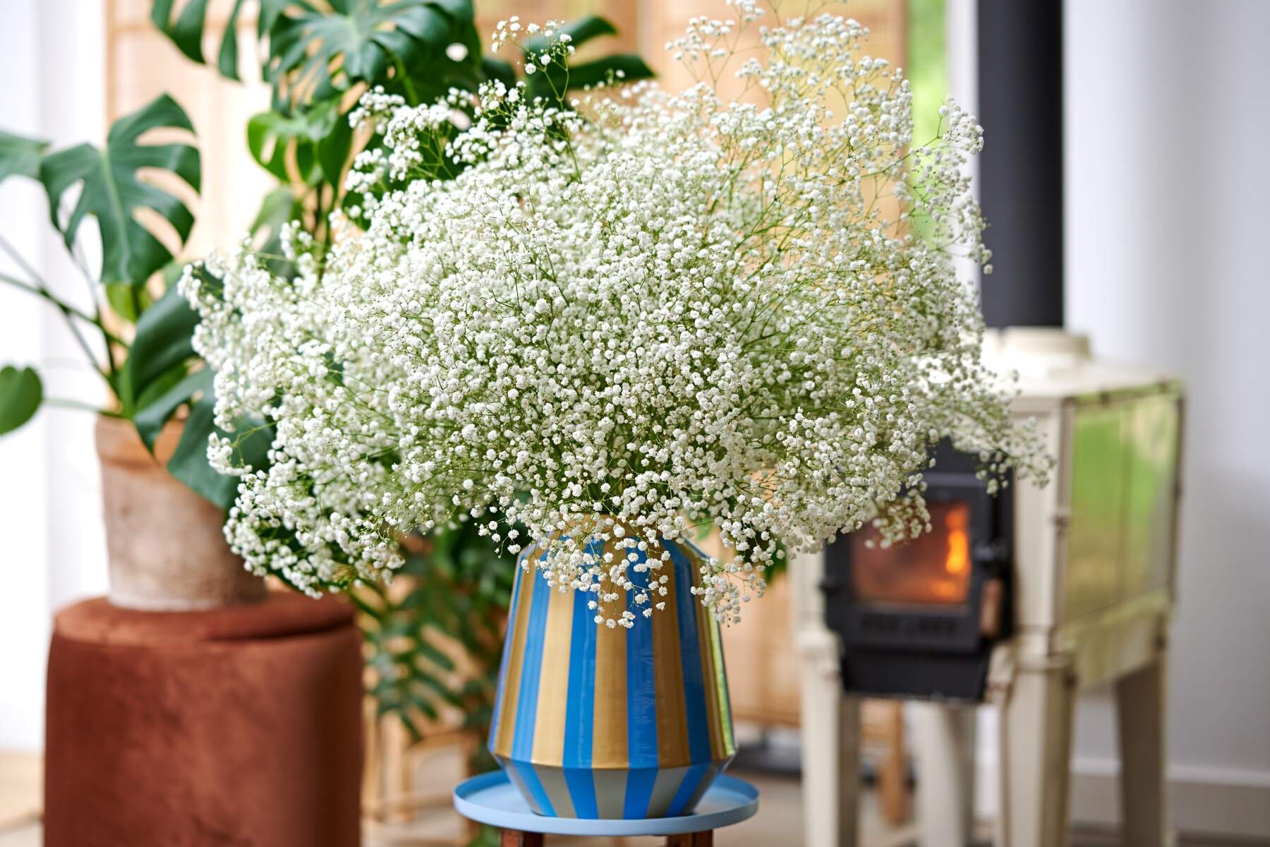 Boeket Gypsophila Zinzi® Lunara in een blauw gestreepte vaas, in een gezellige woonkamer met planten en houtkachel